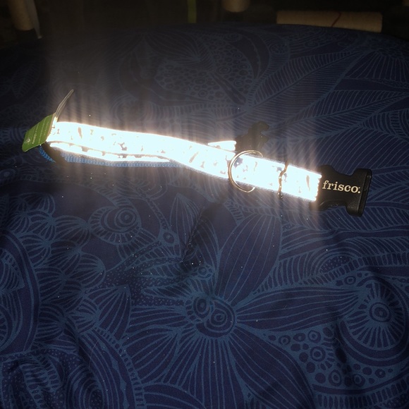 Frisco Reflective Dog Collar {not chew proof} - Picture 8 of 8